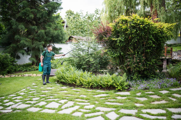 Best Ant Control Services  in Galena, IL