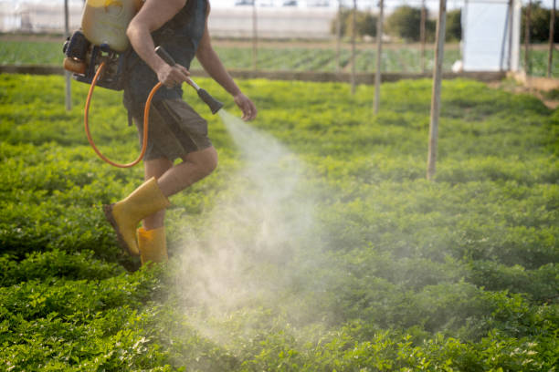 Professional Pest Control in Galena, IL