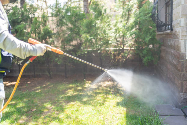 Best Best Pest Control Companies  in Galena, IL