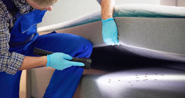 Best Best Pest Control Companies  in Galena, IL