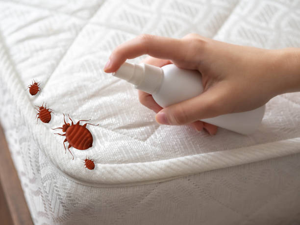 Best Affordable Pest Control Services  in Galena, IL