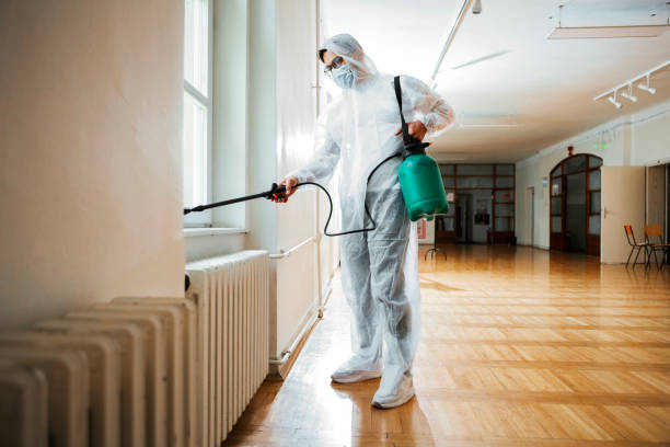 Reliable Galena, IL Pest Control Solutions